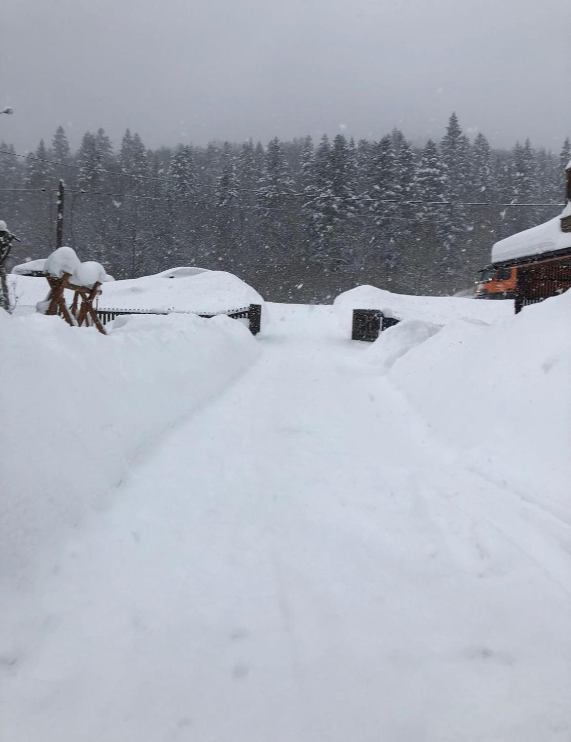 Agroturystyka Dor-Ali U Ali Zubracze Exteriör bild